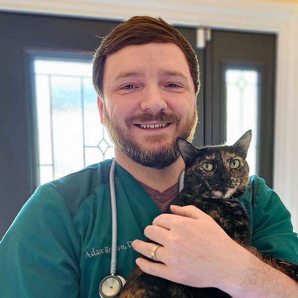 Dr. Brown, Mandeville Veterinarian